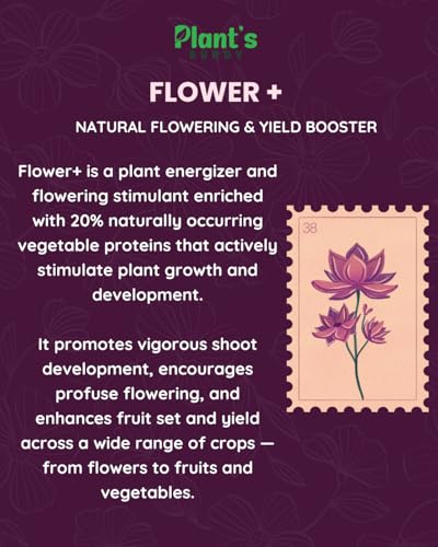 Image of PLANT'S BUDDY Flower+ | Organic Flowering Booster, Plant Energizer & Yield Enhancer | Boosts Blooms, Canopy Growth, Fruit Maturity & Shelf Life | For All Flowering & Fruiting Plants - 250ml