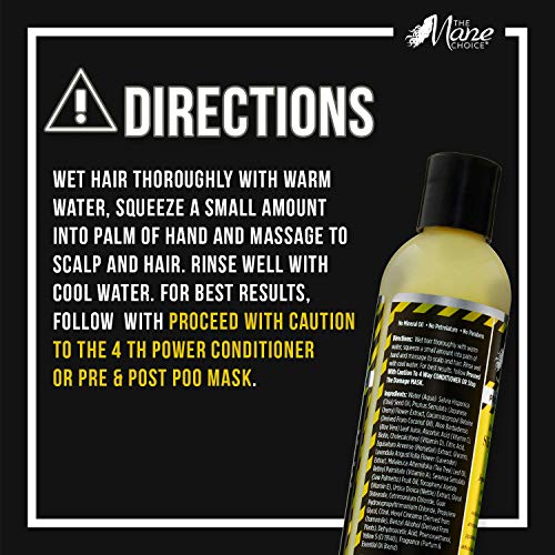 The Mane Choice - Proceed With Caution Killer Curls & Brutal Bounce Slippery When Wet Shampoo (8 Fl. Oz) #TOP3