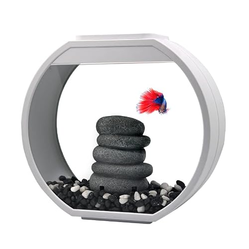 Miniatura 3 de Pecera Moda Creativa Fish Tank Decoración Sala De Estar Oficina Desktop Pequeño Vidrio Ronda Ecológico Lazy Cambio Libre Acuario Para Exhibición En El Escritorio Light Green