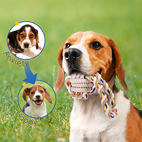 Nobleza Hundespielzeug unzerstörbares 2 Pack, 100% natürliche Baumwolle Seil Hundespielzeug - interaktives Tauziehspielzeug für Welpen - Dog Rope Toy - welpenspielzeug - Hundekauspielzeug - 20 cm