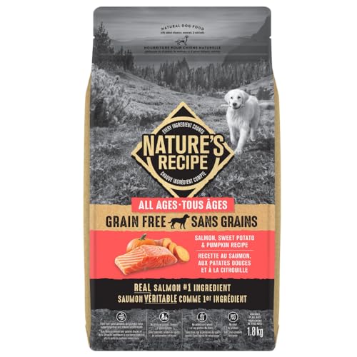 Nature's Recipe Grain Free Natural Dog Food Salmon, Sweet Potato & Pumpkin Recipe 5.4 kg (Pack of 1) - Image 3