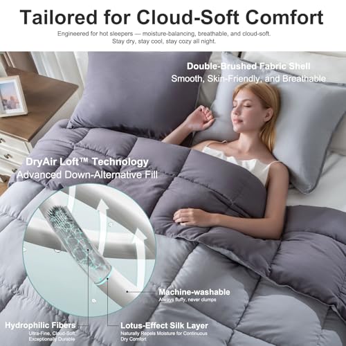 Image of KASENTEX Queen Comforter Set - Reversible Dual Color - Goose Down Alternative - Ultra-Soft, Lightweight, Machine Washable, Maintain Fluffiness, All Season Warmth (Quartz Silver /Pebble Grey) | 250 GSM Fill, Ultra-Soft, Lightweight, Machine Washable, 1 Comforter + 2 Pillow Shams, Quartz Silver /Pebble Grey