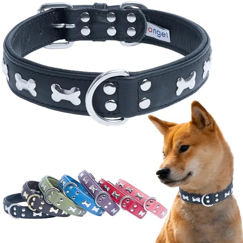 Angel-Pet-Supplies-Rotterdam-Bones-Dog-Collar-Genuine-Leather-Dog-Collar-for-Large-Dogs-to-Extra-Large-Dogs-Thick-Dog-Collar-with-D-Rings-Midnight-Black-Collar-24-x-1--41320