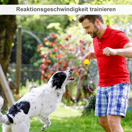 prota Wurfball Hund, 4 Stück Ball mit Seil Naturkautschuk Ball für Hunde Hundespielzeug Ball Hundeball Weich und Elastisch Vollgummiball für Große & Kleine Hunde Werfen Zufällige Farbe