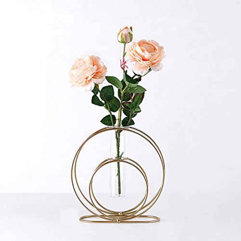 KASTWAVE Glass Flower Vase with Metal Frame Stand Modern Creative Geometry Desktop Glass Planter Indoor Décor Hydroponics Plants for Home Desktop Office Garden Wedding Decor