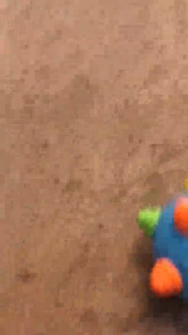 Amazon.com: Toddlers Baby Music Shake Dancing Ball Toy, Move and Crawl Toys for Kids,Bouncing Sensory Learning Toys Ideal Gift for Baby Boys and Girls, Endless Fun for Children, Age:18+ Months : Toys Amazon.com: Toddlers Baby Music Shake Dancing Ball Toy, Move and Crawl Toys for Kids,Bouncing Sensory Learning Toys Ideal Gift for Baby Boys and Girls, Endless Fun for Children, Age:18+ Months : Toys