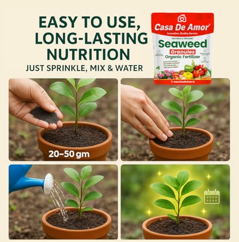 Image of Casa De Amor Seaweed Granules Organic Plant Food, Plant Growth Promoter, Suitable For All Types of Plants (900 gm)