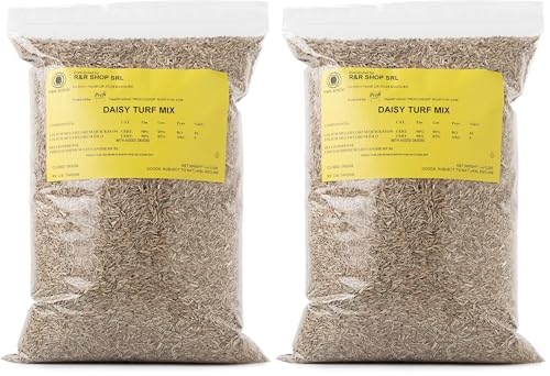 R&R SHOP - Rasensamen mit Gänseblümchen, schnelles Wachstum, doppelte Gänseblümchensorte (500gr–25m2) (Packung mit 2)