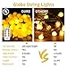 Brightown 2 Packs Each 66 Feet 200 Led Mini Globe String Lights, Fairy String Lights Plug in, 8 Modes with Remote, Decor for Indoor Outdoor Party Wedding Christmas Tree Garden, Warm White