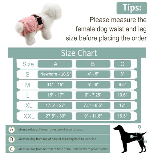 Image of Washable Female Dog Diapers - Premium Reusable Diapers for Doggie in Heat - Highly Absorbent Dog Diapers Female for Pet Incontinence with Adjustable Snaps (Pink, M)