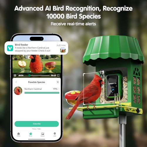 Image of Avinory Smart Metal Bird Feeder with Camera 2.5K HD, Solar Powered AI Bird Identifier 10000+ Species, Wireless,Live Stream&Color Night Vision,Squirrel Proof for Outdoor Birds Watching Gift, 32GB Card