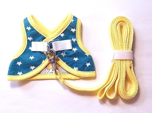 [̃n[lX]ɂn[lXiTbNXu[j (STCY)