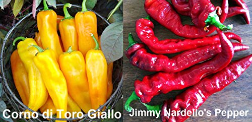 Harley Seeds This is A Mix!!! 30+ Sweet Pepper Mix Seeds, 12 Varieties Heirloom Non-GMO, Pimento, Purple Beauty, from USA, green - Image 5