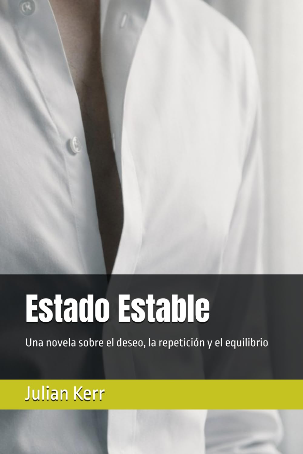 Estado Estable: Una novela sobre el deseo, la repetición y el equilibrio