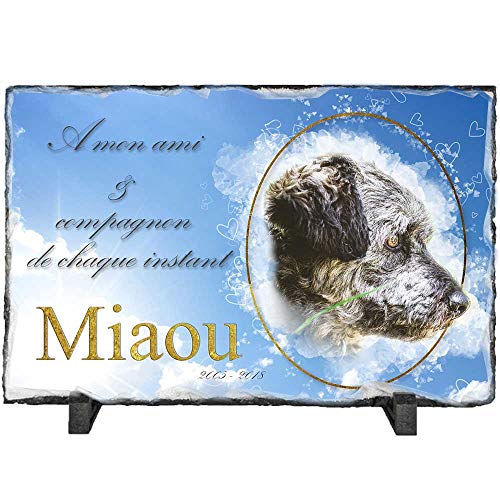 Pets-easy [Personnalisable : Photo et Texte] Bloc Ardoise pour la Tombe de Votre Animal 22/12 cm