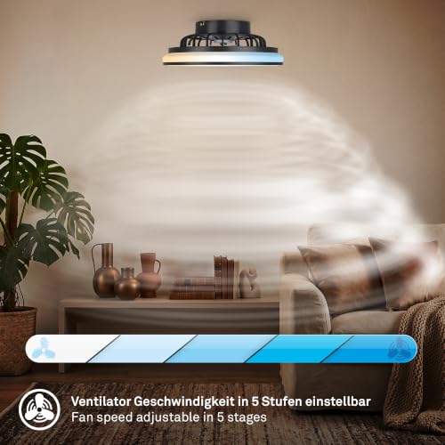 BRILONER - Lampa sufitowa z wentylatorem LED CCT, 24 W i 2600 lm, 5 prędkości, regulowana temperatura barwowa 3000–6500 K, pilot, ściemnianie, timer, tryb lato/zima, 38 x 14 cm, czarny