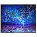 Produktbild MEEKIS Malen nach Zahlen für Erwachsene Kinder Blauer Nachthimmel 40X50CM with Frame