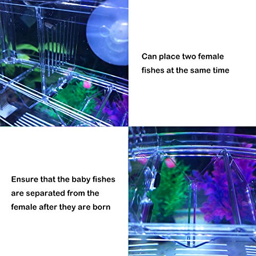 J-Star Large Aquarium Fish Breeder Box Fish Seperator, Fish Hatchery Incubator Shrimp Breeding Box Fish Nursery For Aquarium Baby Fish Holder. #TOP5