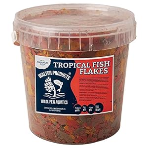 Walters Tropical Fish Flakes (1L Tub) | Tropical Fish Food Flakes for Tropical Aquarium Fish | Guppy, Daphnia and…