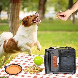 Dog Treat Training Pouch Easily Carries Pet Toys Kibble,Treats Built-in Poop Bag Dispenser 3 Ways to Wear Comes with a Foldable Silicone Bowl(Dark Grey)
