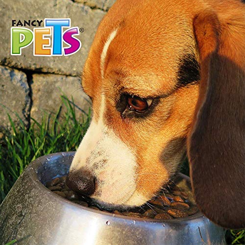 Review de Plato de agua para perros disponible en línea. 11 Imagen adicional