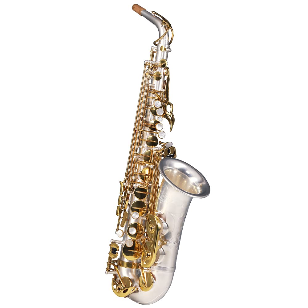 Rollins Saxophone alto RSA-X9,E flat Selmer 54-Key,Matière laiton,or+Argent