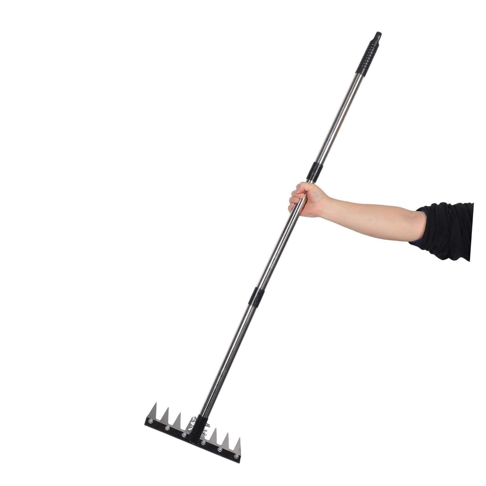 Rastrello Dethatching 8 denti resistenti Manico regolabile Attrezzo da giardino in ferro in acciaio inossidabile for allentamento del terreno da diserbo
