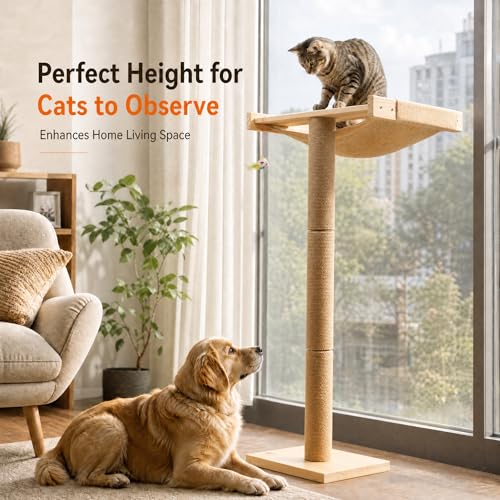 Image of Cat Window Perch with Tall Scratching Posts, Inside 46 inch Climbing Tree Hammmock Mounted with Suction Cups for Sleeping,Playing and Watching Birds