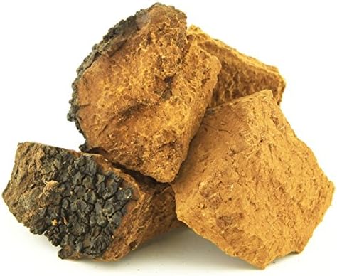 Tao Chaga Wild Harvest Canadian Chaga Mushroom (Inonotus obliquus) (Chunk (113g))