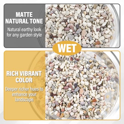 Image of 2.4lb Succulent and Cactus Gravel Pebbles, 1 /5 Inch Mixed Color Natural Rocks for Fish Tank, Indoor Plants, Aquarium, Vases, Landscaping