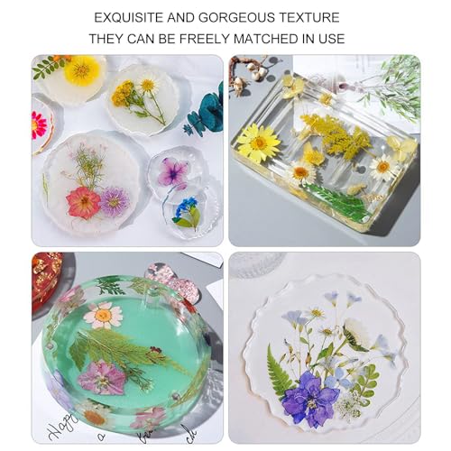 5 bolsas / 100 piezas flores secas prensadas para manualidades miniatura 4