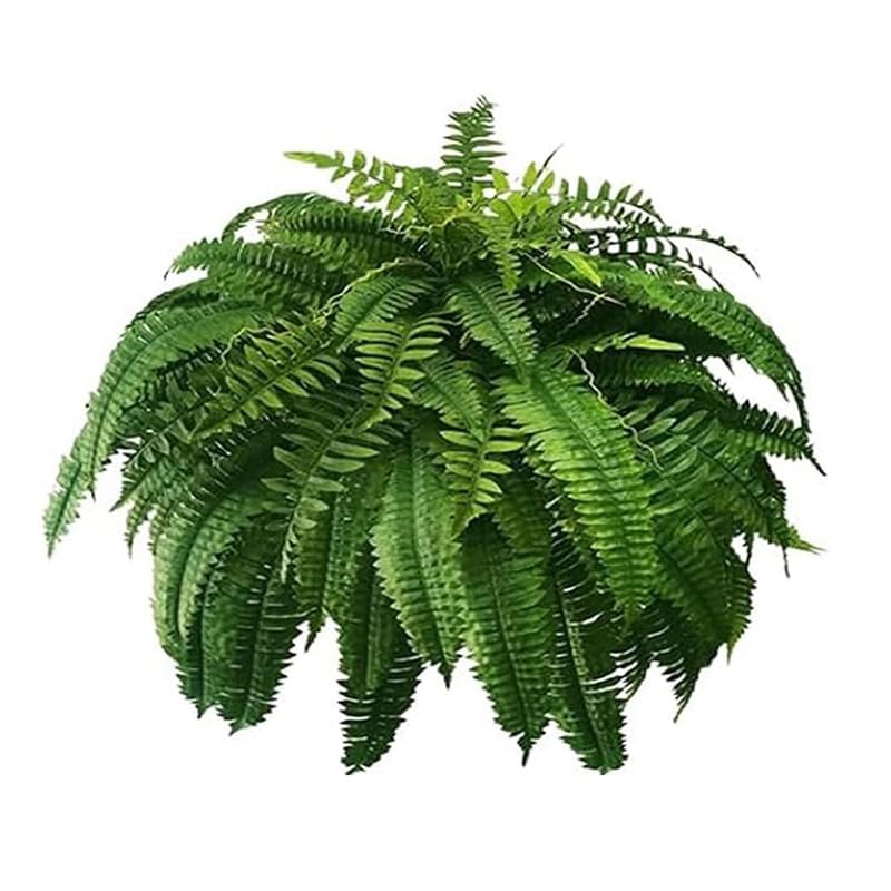 Sujurio Helecho Boston Artificial Realista Resistente A los Rayos UV, Helechos Artificiales para Exteriores, Helechos Falsos, Plantas Artificiales