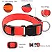 Illumifun Light Up Dog Collar - USB Rechargeable LED Dog Collar Glow in The Dark, Adjustable Pet Collar Light for Night Walking (Red, Medium)