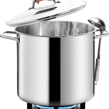 20 Quart Pot With Lid