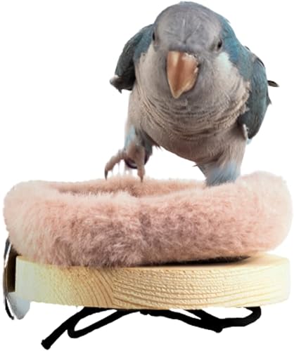 Bird Perch Stand Platform with Warm Cotton Cushion, Wood Parrot Perch for Pet Parrot, Budgies, Parakeet, Cockatiels, Conure, Lovebirds, Rat, Mouse Cage (Small, Grey)