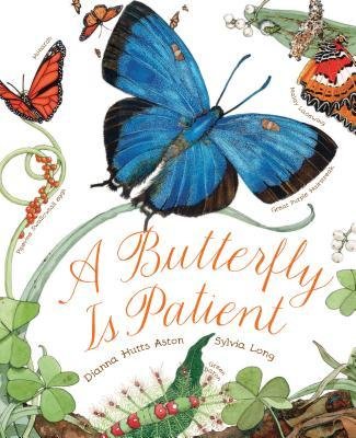 A Butterfly is Patient 0545605466 Book Cover