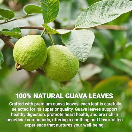 Image of LeafLea Guava Leaf Tea Bags, Guava Leaves Tea, Caffeine-Free, 120 Count