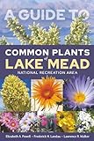 A Guide to Common Plants of Lake Mead National Recreation Area