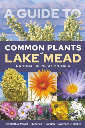 A Guide to Common Plants of Lake Mead National Recreation Area