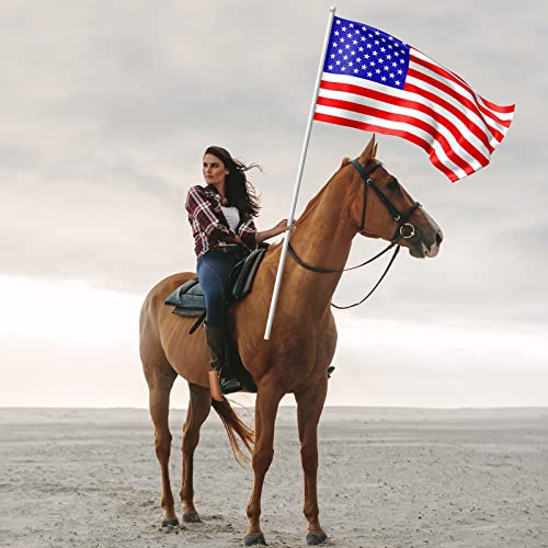 Woanger 2 Pcs Leather Flag Carrier with Stirrup Flag Boot for Horse Saddles Flag Holder Accessories for Horse Training Flag, 7 x 2.2 Inch, Brown