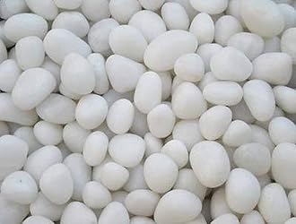Creative Farmer 2Kg Unpolished White Marble Pebbles for Garden Decor (20-30 Mm White) [2Kg] E