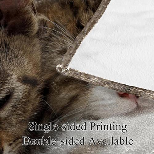 Couvertures en microfibre TBOUOBT plaid peluche lit canapé chats
