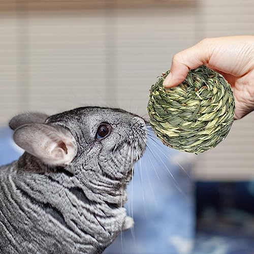 Toys D'activité Pour Les Petits Animaux - Bunny Mâcher Des Pour Les – vue 3