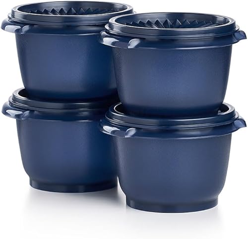 Tupperware Servalier - Juego de 4 recipientes herméticos para líquidos (2.5 tazas, 20 onzas, color azul oscuro)