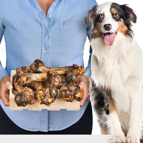 Schweineknochen für Hunde 5 Stück (1,4 kg) | natürlicher Kausnack mit Fleischresten | ideal zur Zahnpflege & Beschäftigung | ohne Zusatzstoff