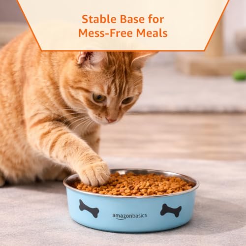 Image of Amazon Basics Stainless Steel Pet Feeding Bowls for Dog & Cats | 3 Pcs Set | Anti Slip Base | Canister & Heavy Dish Outside Blue Color with Printing | Canister 1000 ml & Heavy Dish 900 ml & 1800 ml