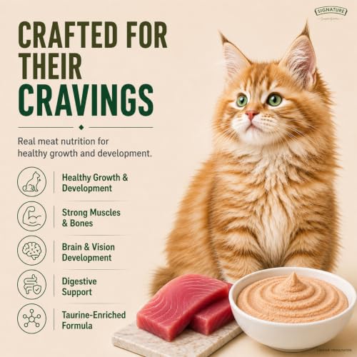 Image of Grain Zero Kitten Wet Mousse 80g Pack of 5, 400g | Tuna Flavour | Rich in Protein, Hydrating & Easy to Digest | Grain Free, No Artificial Flavours | with Essential Vitamins & Antioxidants