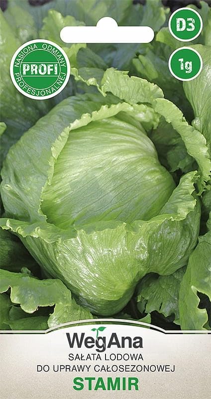 WegAna lechuga iceberg Stamir 1g semillas, semillas de hortalizas de propagación de semillas de lechuga de jardín de efecto invernadero