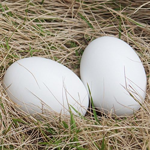 Masterproofing Wooden Fake Eggs, Easter Eggs-6 Pieces (White)