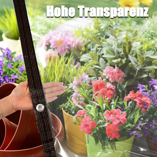 Faltbarer Insektenkäfig 20x20x20cm - Transparent Für Schmetterlinge & Insekten